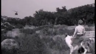 Lassie - Episode #223 - 