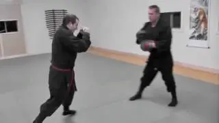 combative concepts-Frank 