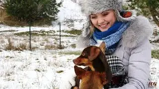 Winter Training at K9 Basics | Keep Your Dog Active, Focused, and Learning All Season