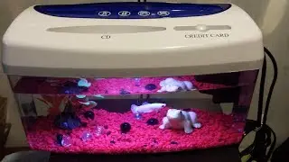 Document shredder to Betta Nano tank - the conversion