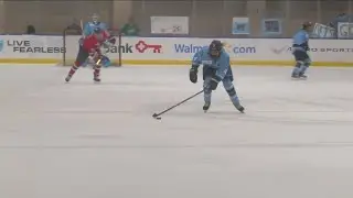 Buffalo Beauts organization are hanging up their skates