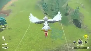 Shiny Monferno / Shiny Panpyro (Pokemon Legends Arceus)