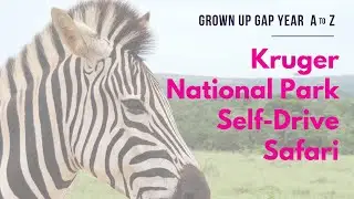 Kruger National Park & Addo Elephant Park Self-Drive Safari | Grown Up Gap Year A to Z