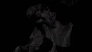 SAM5000
