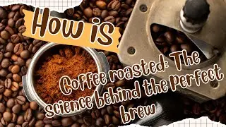 How is coffee roasted: The science behind the perfect brew