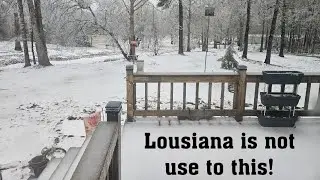 Winter Storm 2026 in Louisiana 