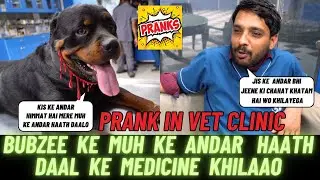 Prank In Vet Clinic On Doctor: Bubzee Ke Muh Ke Andar Haath Daal Ke Kon Khilaayega Medicine?