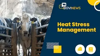 Webinar: Heat Stress Management