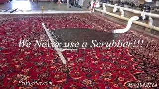 PetPeePee Company-New wool carpet/Oriental rug smells like sheep
