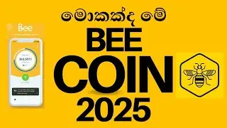 Bee Coin අලුත්ම Update එක 2025 | Bee Network | Bee Coin | Bee Network Mining Sinhala | Emoney  | PI