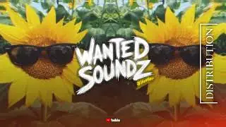 Sunflower [ Rvssian 02 Remix ] 2025