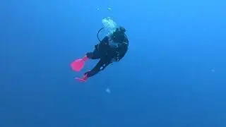 Vandenberg Wreck in Key West Dive 2