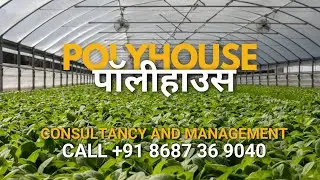 PolyHouse | पॉलीहाउस | Green House | Consultancy | Management | Call or WhatsApp +91 8687369040