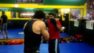 Evolution MMA Mumbai - boxing pads workout and drills # 3