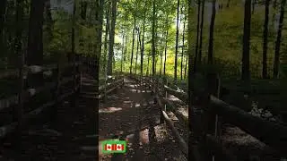 Park🇨🇦 #buhaysacanada #pinoyvlogger