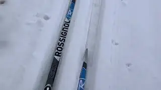 Min dagens skiglede etter jobb