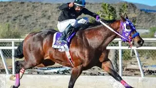 el dondinero cuadra la cabrna vs el angus cuadra la estrella
