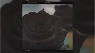 Black Roses Bloom- DJ DMac