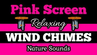 💟PINK SCREEN 🎐WIND CHIMES 🌲Soothing Nature Sounds