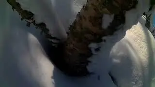 Bydalen 2017