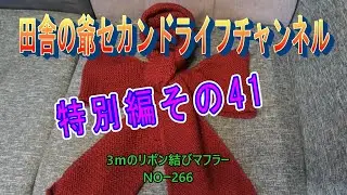 特別編その41