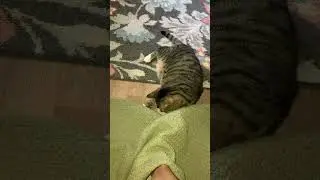 Cute but fierce 🤣