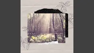 Sublime Backdrops for Morning Comfort