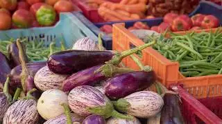 Introduction: A Beginner's Guide to Gardening in Cold Climates