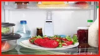 AcuRite Digital Wireless Fridge and Freezer Thermometer with Alarm and Max/Min Temperature for Home