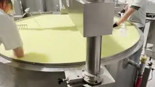 Fort Covington Dairy Plant | Cheddar Cheese & Yogurt Processing Line by Tessa