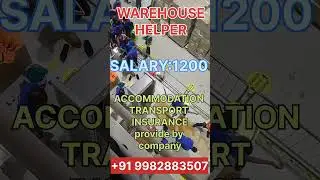 Warehouse helper 🇦🇪#dubai #shorts #shortvideo #dubaijobportal #airport #securityguardjobsindubai