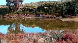 Natuurpark Isla Cristina  Spanje Portugal Getijdengebied