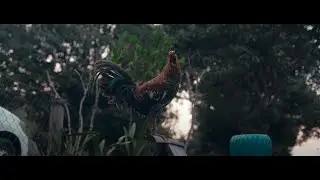 A Day In The Life with Wildfoot Farm