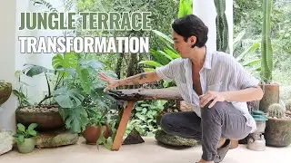 terrace takeover ep.1 | JUNGLE TERRACE