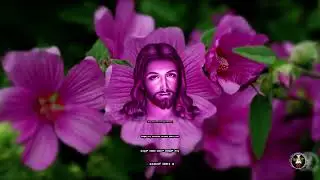 ಸೊಮ್ಯಾಕ್ ಆಮಿಂ (Somiak Ami) : Rev. Fr. Jerry Sequeira
