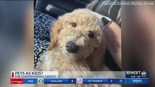 Pets as kids? The controversial debate