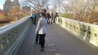 Bow Bridge Central Park Wedding Proposal New York City NYC