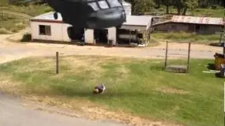 Look out behind you kid