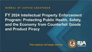FY24 Intellectual Property Enforcement Program