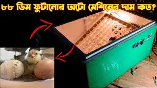 ৮৮ ডিমের ইনকিউবেটর 🔥 সস্তা AC DC Auto Egg Incubator Price in Bangladesh 2025