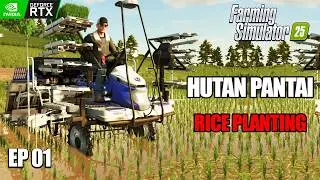 FS25 Rice Planting  Gameplay | Farming simulator 25  | EP1