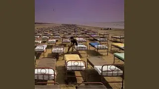 The Dogs of War