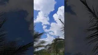 NATURE BEAUTY#shorts #trendingshorts #trending #youtubeshorts #viral #nature #flowers #houseplants