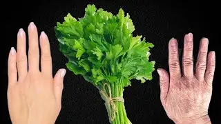Collagen Mạnh Nhất Từ Cần Tây / Xóa sạch Nếp Nhăn Sâu Và Sạm Nám Bất Chấp Tuổi Tác 
