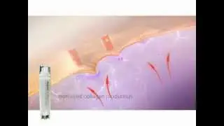 Top Rated Anti Wrinkle Cream