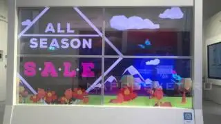 Прозрачные OLED-дисплеи