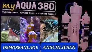 Osmose Anlage 380 Anschliese von @arkaaquatics