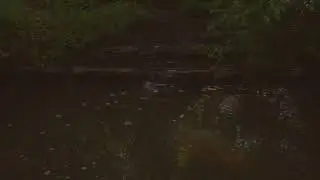 30 seconds of Zen