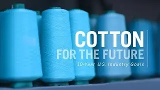 U.S. Cotton Industry Sets Sustainability Goals