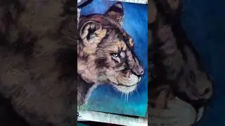 雌ライオン、やさしい目。パステルで命を灯す / Gentle Lioness, Soft Pastels [制作過程] #lion #art #artshorts #illust #pastel
